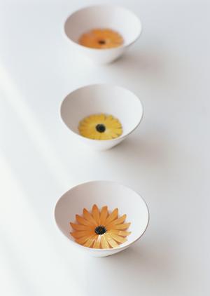 封筒にきれいにフルカラー印刷をしよう